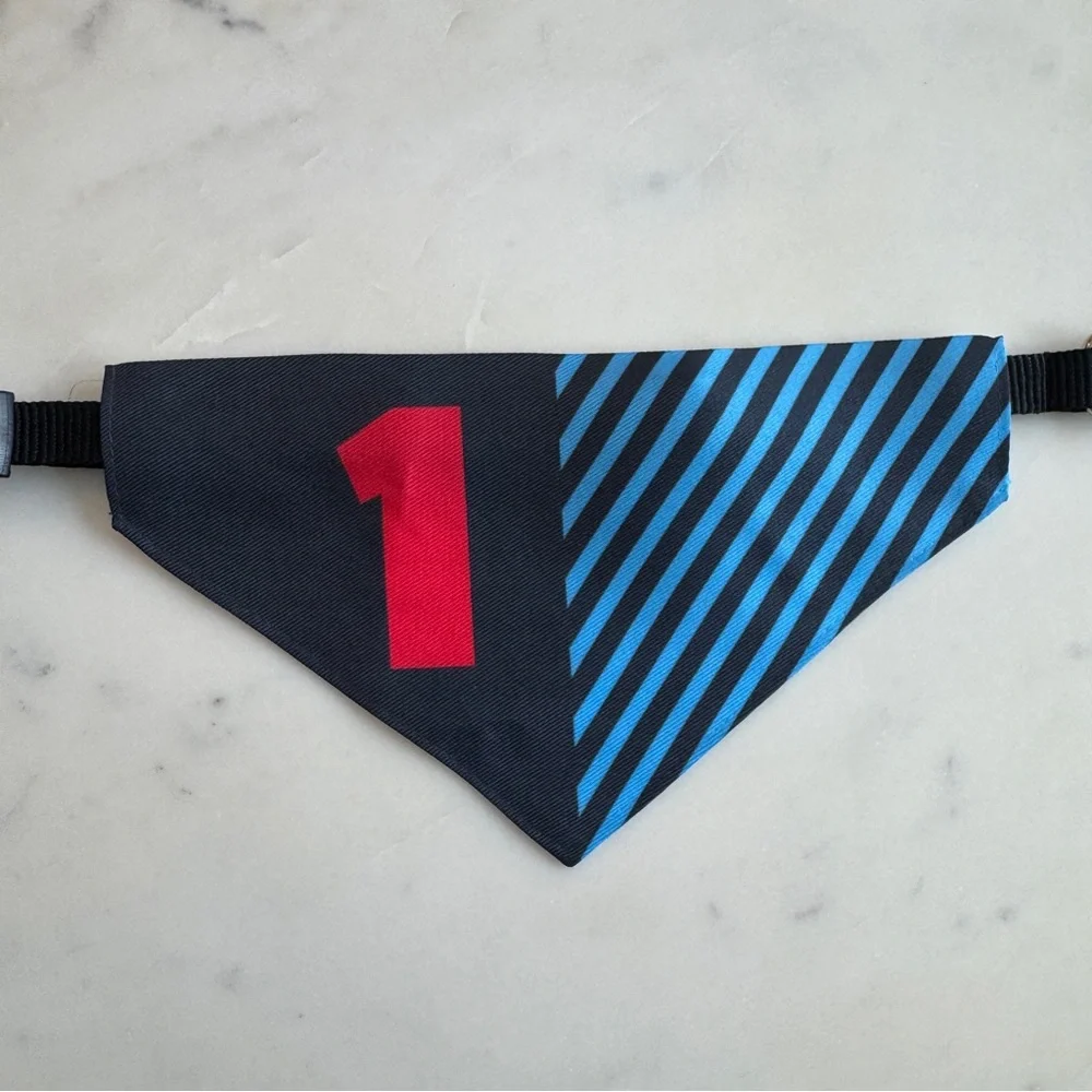 Max Verstappen Dog Bandana - F1 Dog Collar